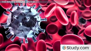 Innate Immunity- Inflammation, Neutrophils & Natural Killer Cells