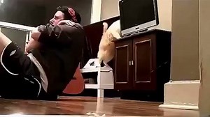 Compilation spéciale chats | Last Video