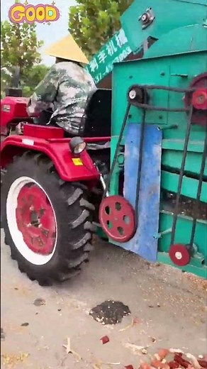 Corn threshing process using drum-type thresher machines