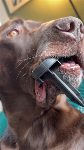 home security: 10/10 | Home Security