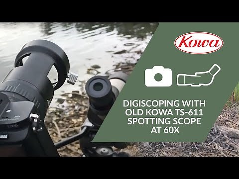 Digiscoping with Old Kowa TS-611 Spotting Scope at 60x