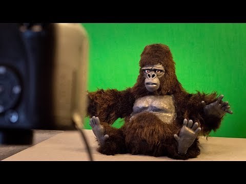 The Gorilla Puppet Speaks