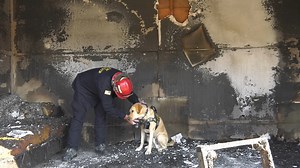 3.1K views · 83 reactions | Next up we take you behind the scenes of Investigations! ️ Did you know that OCFA Investigators are sworn peace officers? Their goal, find out why and how a fire started. #VirtualOpenHouse | Orange County Fire Authority | Facebook