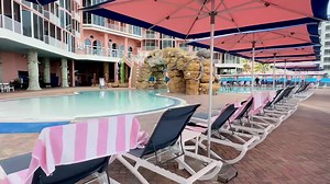 Rise and shine with peaceful morning views from the Octopool! 🌴☀️ | Pink Shell Beach Resort & Marina