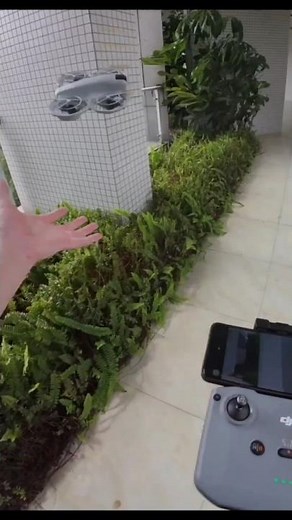 DJI Neo Extreme Wind Stability 😳📈 #dji #drone #shorts #shortsfeed #viralshorts #youtubeshorts #fpv