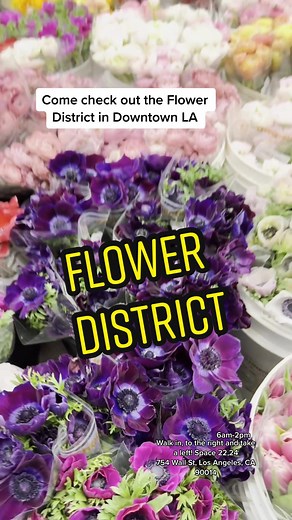 Come check out this awesome flower 🌺 🌹💐 @sunrisewholesaleflowers #Smash #Flowers #SmallBusiness #LosAngeles #forYOU