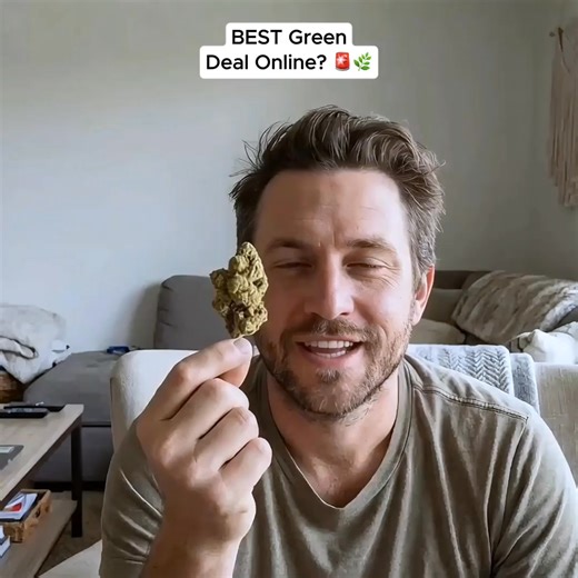 Give yourself more to discover from the very beginning. Receive 20% off and a complimentary 8th with your initial purchase. | Green Plug