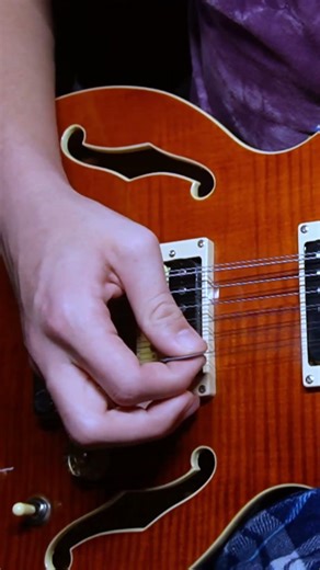 Metallica hits different on a 12-string