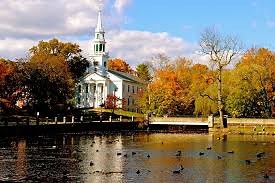 Milford Tackles Blight Head-On