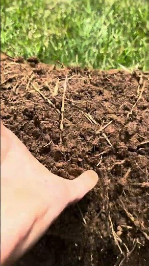 Using a sod cutter to fill in patchy grass