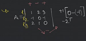 how to find determinants of a matrix.... | Filo