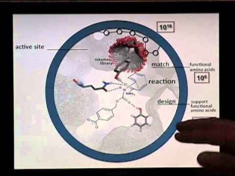 Enzyme Engineering Guided by Molecular Dynamics Simulations