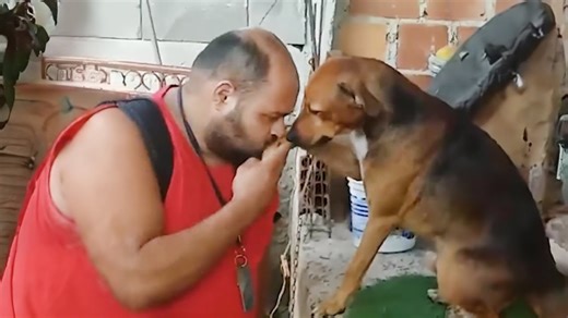 A man and his dog’s unbreakable bond