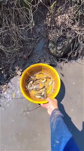 🐟 Nonstop Fishing! Ultimate DIY Trap That Fills Up Automatically! 🔥