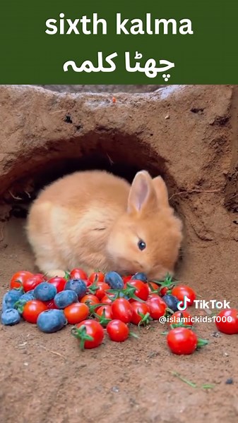 Discover the Power of the Sixth Kalma - A Viral Islamic Video