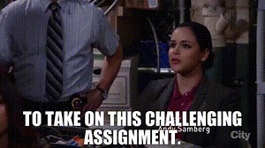 to take on this challenging assignment.