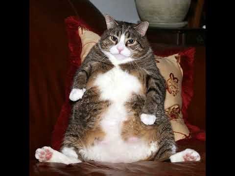 Alan Aztec - Love Is A Game (Ant C Remix) (2009)