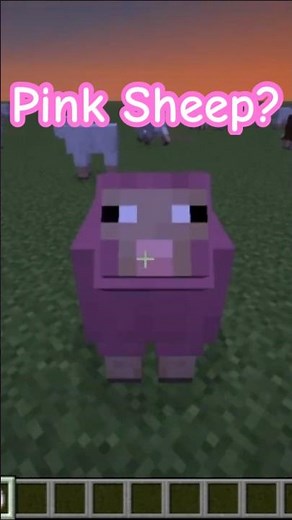 How Rare is a Pink Sheep in Minecraft?