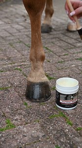 How handy is this little stubby hoof pick with a brush on the end? 🐴 It’s super useful and compact, making it the perfect addition to your show kit. After picking out the hooves, follow up with a bit of Natural Hoof Shine, which is made from all-natural ingredients, including Beeswax, Eucalyptus, and Tea Tree Oil. These are known for their antibacterial, moisturising, and conditioning properties. Apply every day to improve hoof condition and prevent brittleness, especially during the summer mon