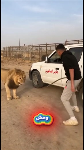 #Amazing #Cool #Wow | اشتري اون لاين