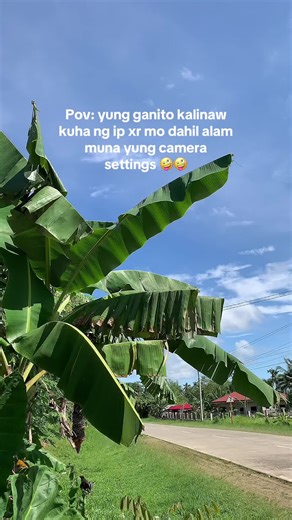 Ip xr camera settings! #iphonexr #iphonexrcamera #camerasettings #ipxr #fyp #trending