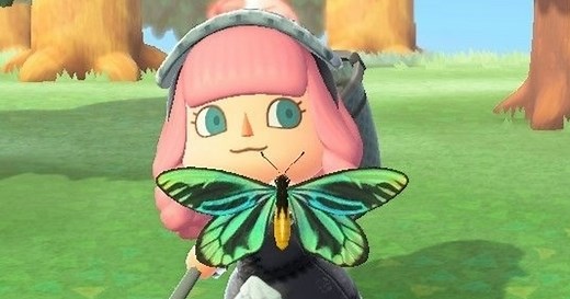 Animal Crossing Bug-Off prize list, how points and trophy rewards work, and future dates explained