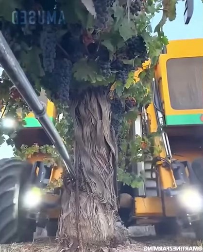 Innovative Agricultural Machinery in Action