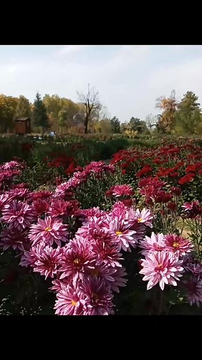 146K views · 3.6K reactions | O jaane Wale Laut ke Aaja | Explorer Jammu Kashmir Valley | Facebook