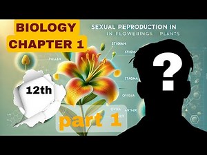 Sexual Reproduction in Flowering Plants | Class 12 Biology Chapter 1 | Full Explanation"| Part 1
