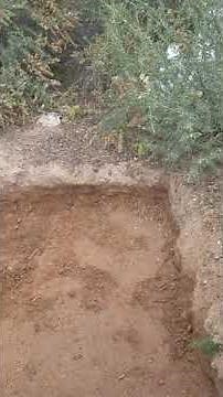 Sunken Bed Gardening Part 1 Benson AZ