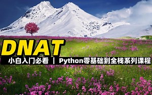 DNAT - 《Python零基础到全栈系列》