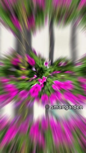 Residential Rooftop Landscape | Smart Garden