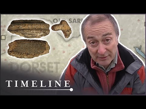 The Extraordinary Roman Artifacts Underneath A Dorset Pig Farm | Time Team