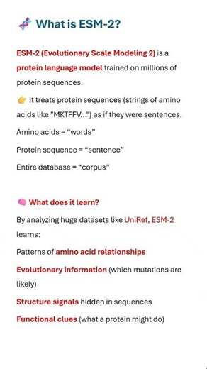 ESM-2 Explained in Seconds | AI That Understands Proteins 🧬🤖