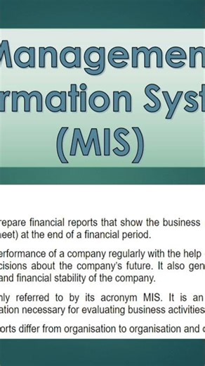 theory of MIS report