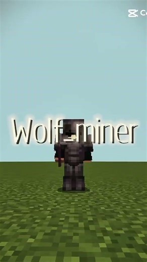 Best Minecraft Skin Transition