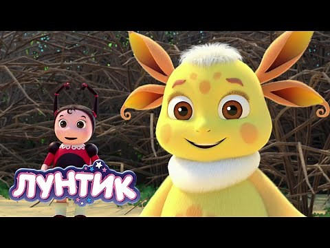 Лунтик | Дикая природа 🐘🦒🐵🦓 Сборник мультиков для детей