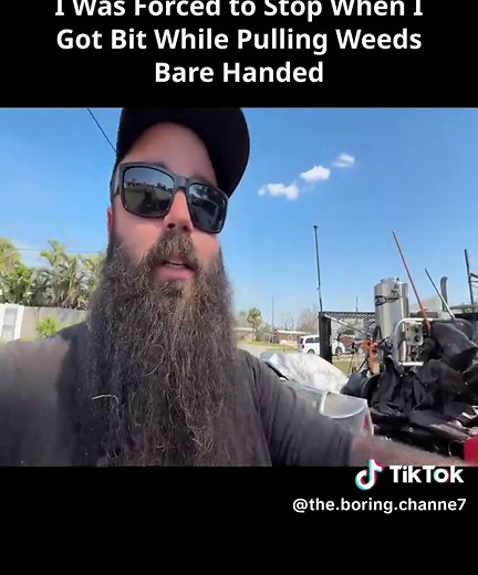 The Boring Channel on TikTok