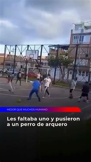 🐕 FIRU ENTRÓ AL ARCO Y DEJÓ A TODOS CON LA BOCA ABIERTA