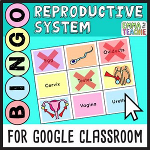 Reproductive System Bingo Game | Google Slides