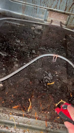 Effective Oven Cleaning Hacks with Easy Off and Shop Vac