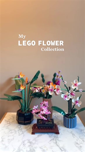 My Lego botanicals collection is almost complete 🥺🫶 #legoflowers #legobotanical #legobuilds #legoflowerbouquet #legoorchid #legobonsai