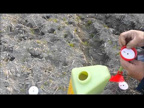 粒剤スプレイヤーで除草剤のカソロンを撒く
