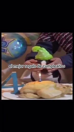 THE BEST GIFT #memes #humor