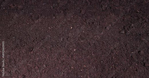 fertile soil mixed with peat and humus for growing and various plants, part of the territory with fertile brown soil mixed with other useful elements to improve the harvest