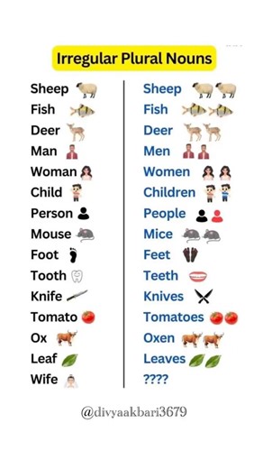 Fun with Plurals: Learn 10 Irregular Plural Nouns with Engaging Images! 🔥
