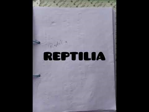 B. SC 2nd year practical file ll With diagram ll