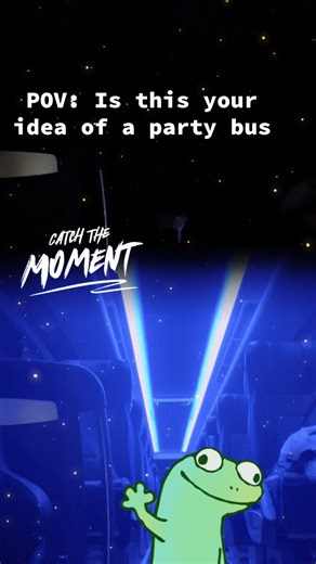 Party Bus Experience: What to Expect on the Road