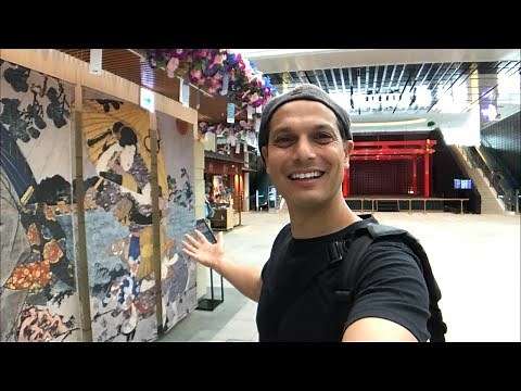 Tokyo’s Haneda International Airport Departures Adventure