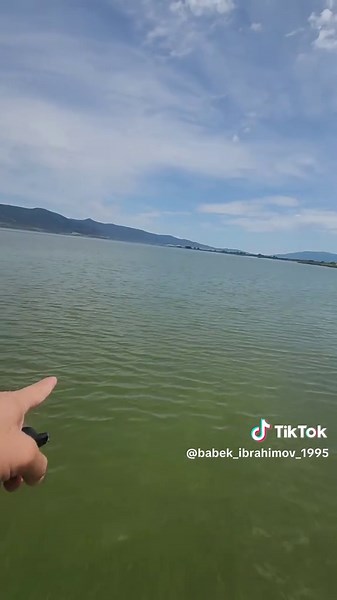 Unboxing and Review of the Brave Little Toaster